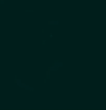 Logo & Brand Identity